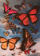 Butterflys 3d Poster