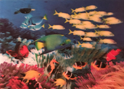 Aquarium 3d Poster