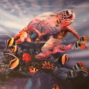 Galapagos Turtles 3D Fine Art