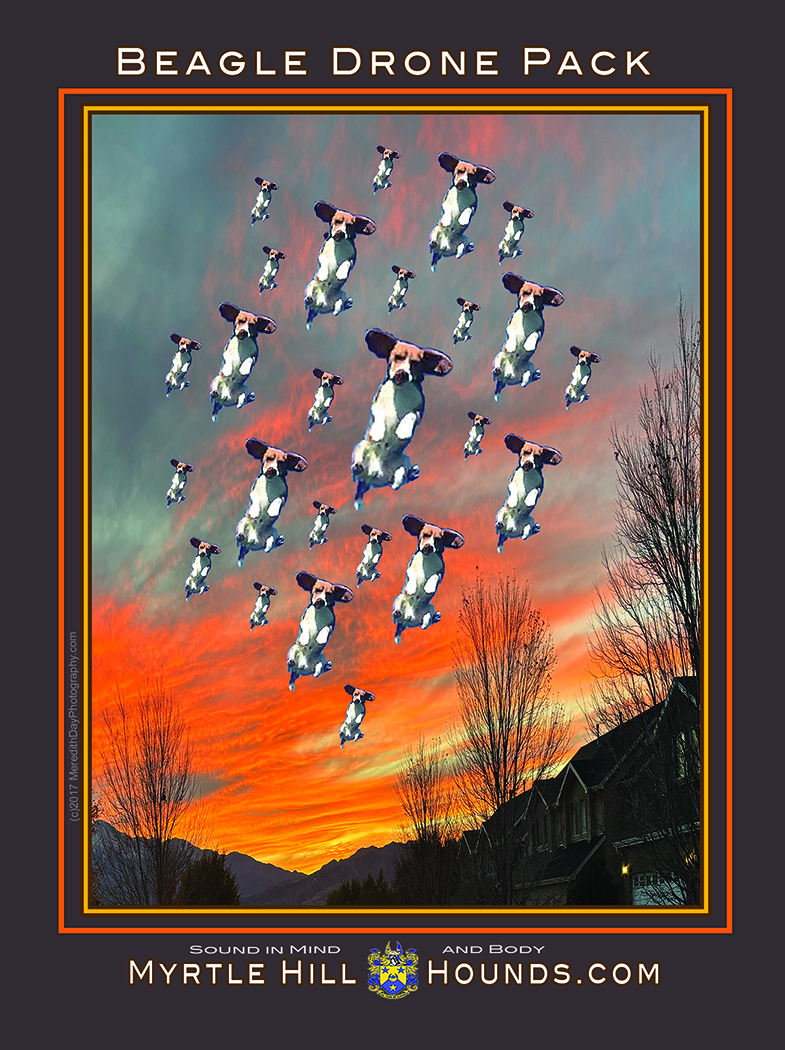 Beagle%20Drones%205x7